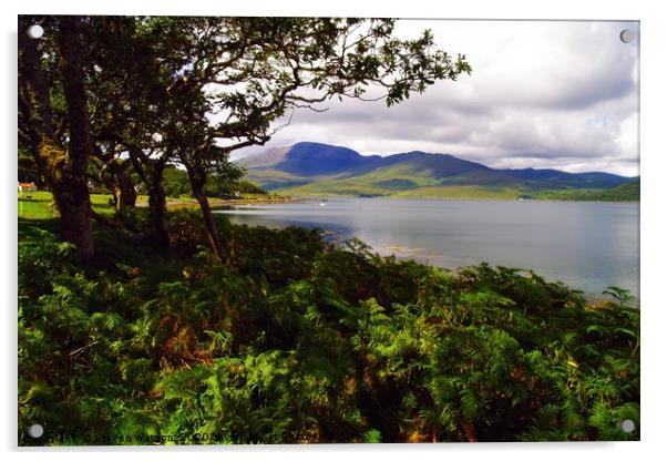 At remote Croggan on Loch Spelve Acrylic by Steven Watson