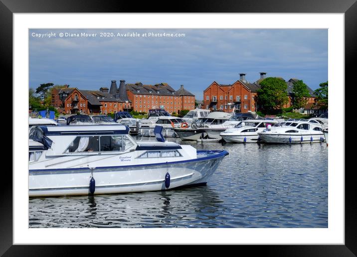Oulton Broad Marina Framed Mounted Print by Diana Mower