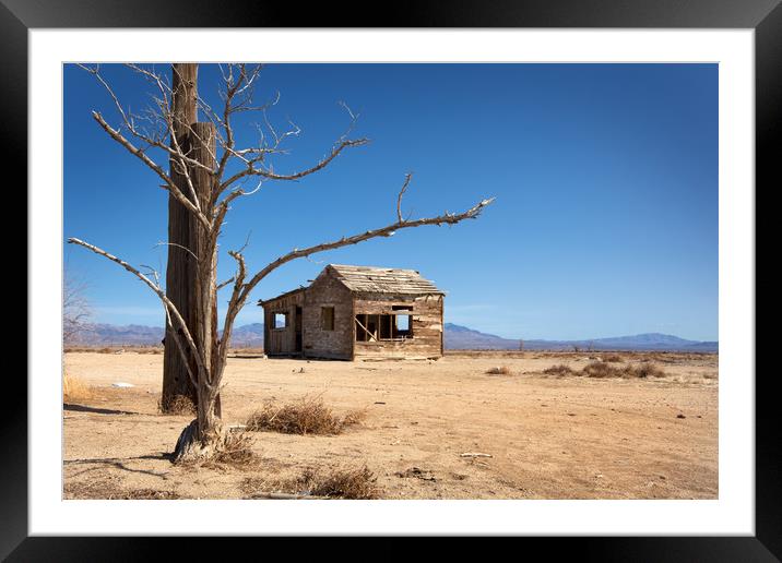 Abandoned Shack, Apple Valley. Framed Mounted Print by David Hare