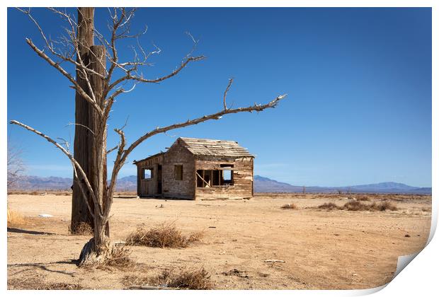 Abandoned Shack, Apple Valley. Print by David Hare