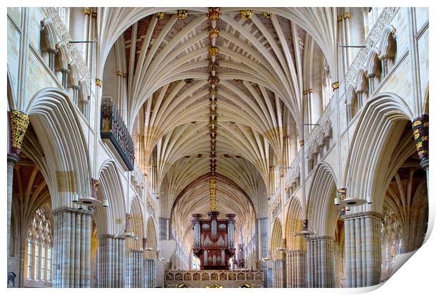 Exeter Cathedral Print by David Hare