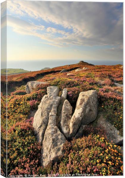 Rocks at Carn Galver Canvas Print by Andrew Ray
