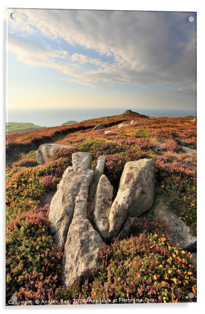 Rocks at Carn Galver Acrylic by Andrew Ray