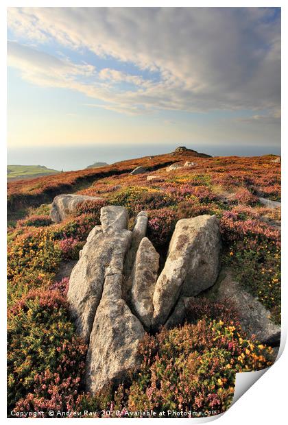 Rocks at Carn Galver Print by Andrew Ray