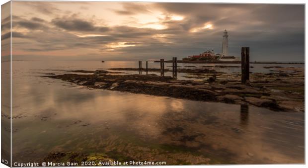 St Mary's lighthouse at sunrise Canvas Print by Marcia Reay
