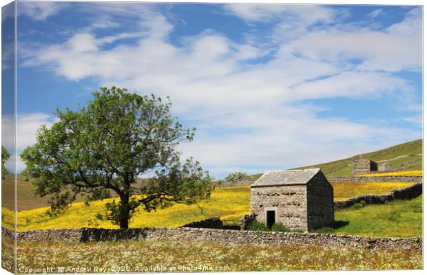Barns at Thwaite Canvas Print by Andrew Ray
