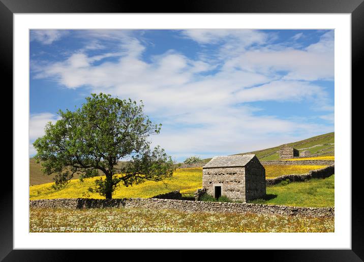 Barns at Thwaite Framed Mounted Print by Andrew Ray
