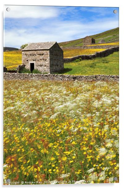 Thwaite Barns Acrylic by Andrew Ray