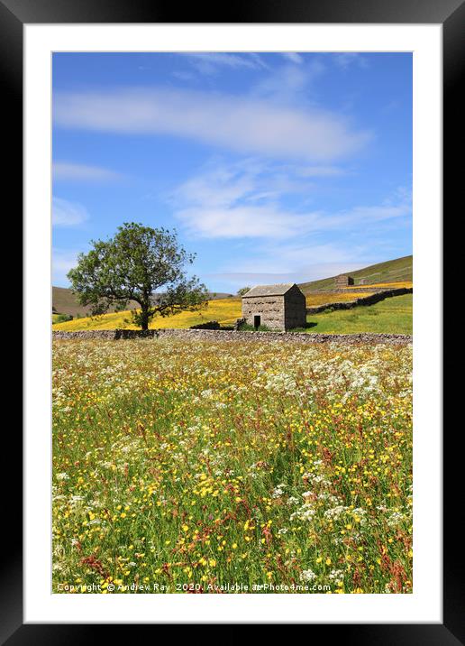Thwaite Hay Meadow Framed Mounted Print by Andrew Ray