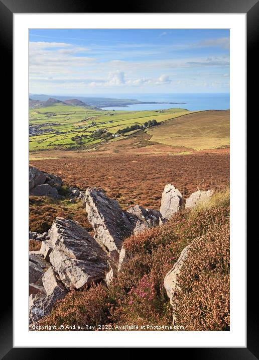 The Llyn Framed Mounted Print by Andrew Ray