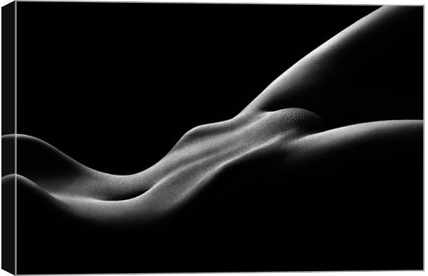 Nude woman bodyscape 59 Canvas Print by Johan Swanepoel