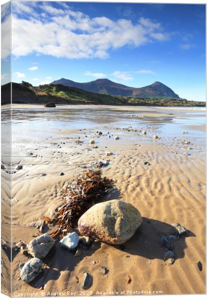 Yr Eifl from Trefor Beach Canvas Print by Andrew Ray