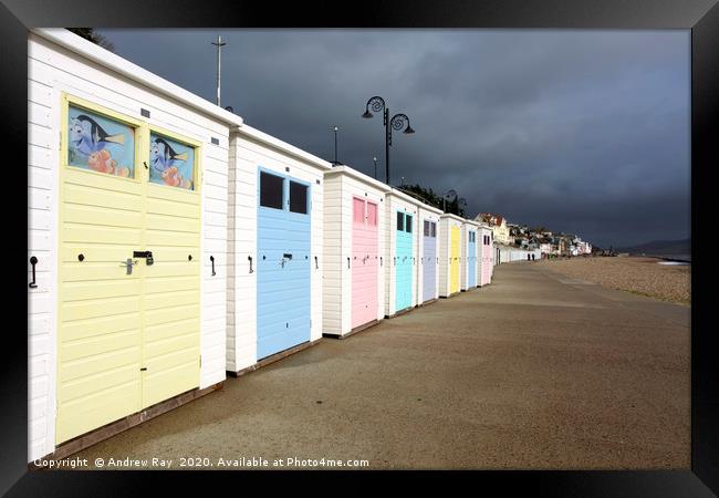 Lyme Regis (Promande) Framed Print by Andrew Ray