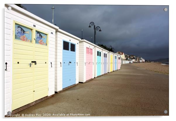 Lyme Regis (Promande) Acrylic by Andrew Ray