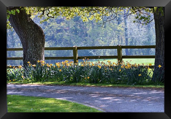 Spring in Hampshire Framed Print by Mike Houghton