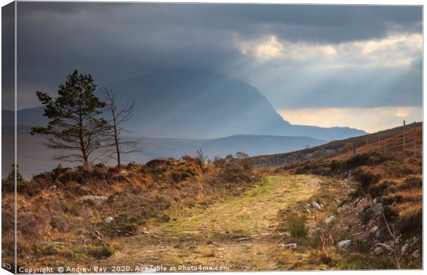 Path towards Ben Hope Canvas Print by Andrew Ray