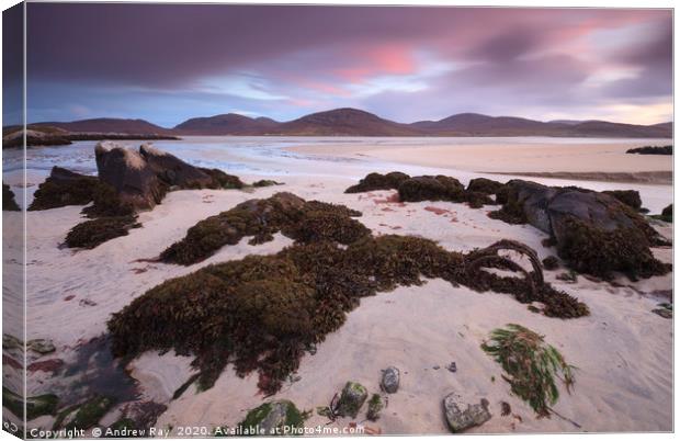 Luskentyre Sunset Canvas Print by Andrew Ray