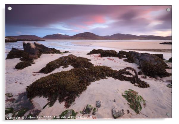 Luskentyre Sunset Acrylic by Andrew Ray
