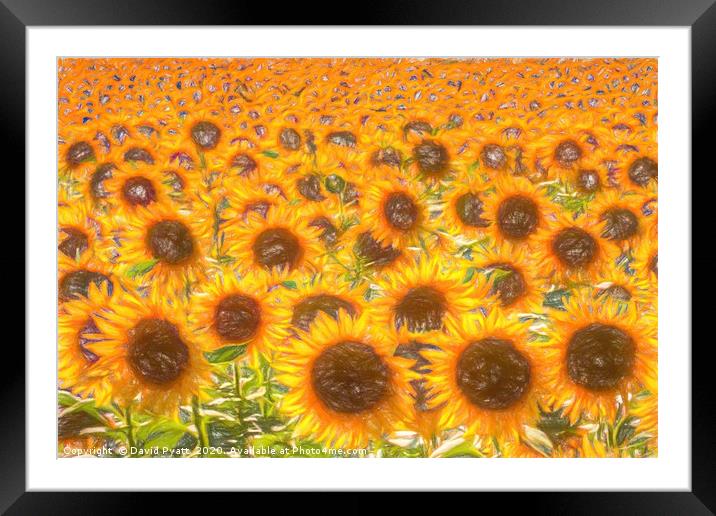 Sunflower Field Of Dreams  Framed Mounted Print by David Pyatt