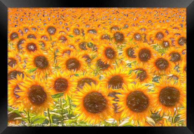 Sunflower Field Of Dreams  Framed Print by David Pyatt