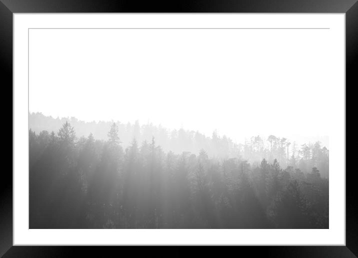 Light through the Trees Framed Mounted Print by Ben Griffin