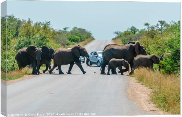 Herd of African Elephant holding up traffic Canvas Print by Chris Rabe