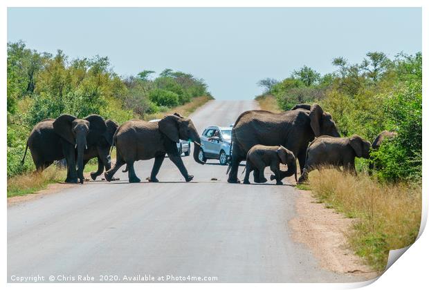 Herd of African Elephant holding up traffic Print by Chris Rabe