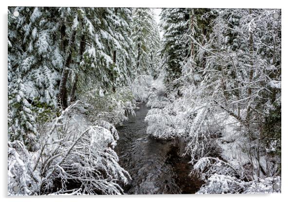 A Winter's View of Salt Creek Acrylic by Belinda Greb