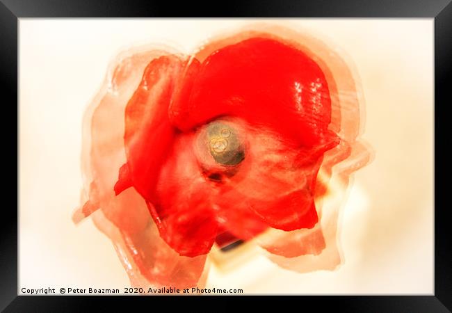Abstract Poppy Framed Print by Peter Boazman