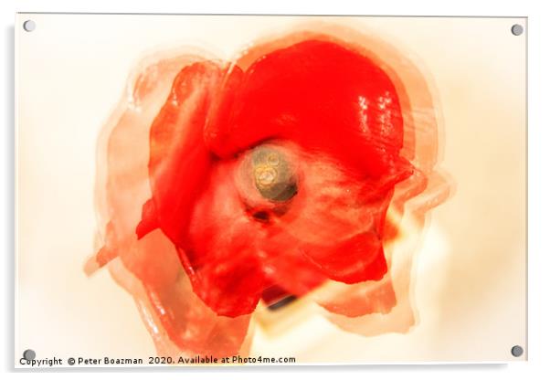 Abstract Poppy Acrylic by Peter Boazman