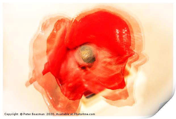 Abstract Poppy Print by Peter Boazman