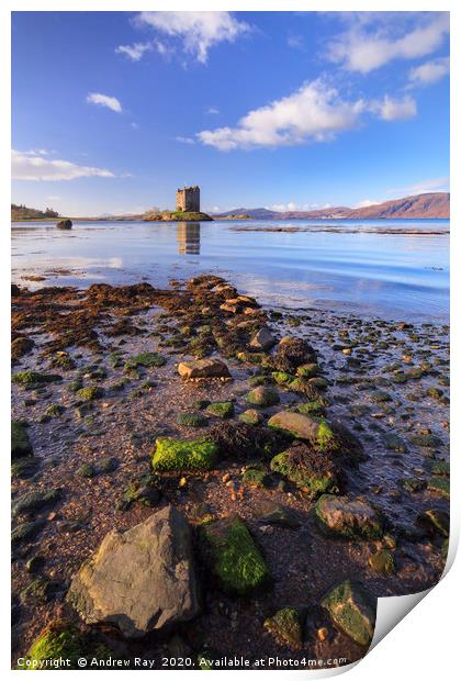 Rocky Shore (Castle Stalker) Print by Andrew Ray