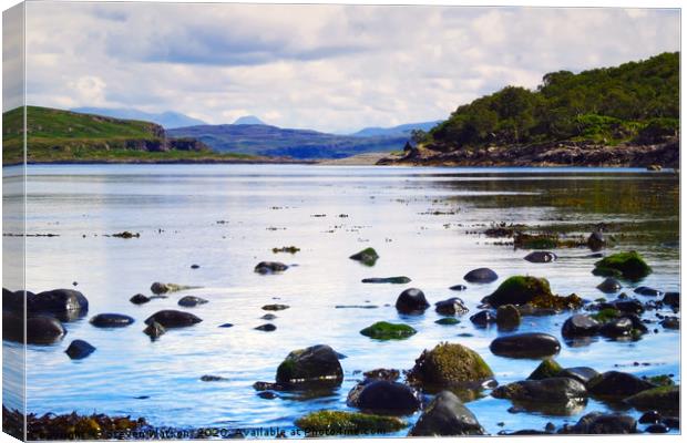 Loch Spelve Canvas Print by Steven Watson