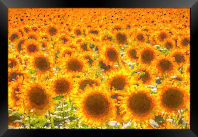 Sunflower Abstract Dreams  Framed Print by David Pyatt