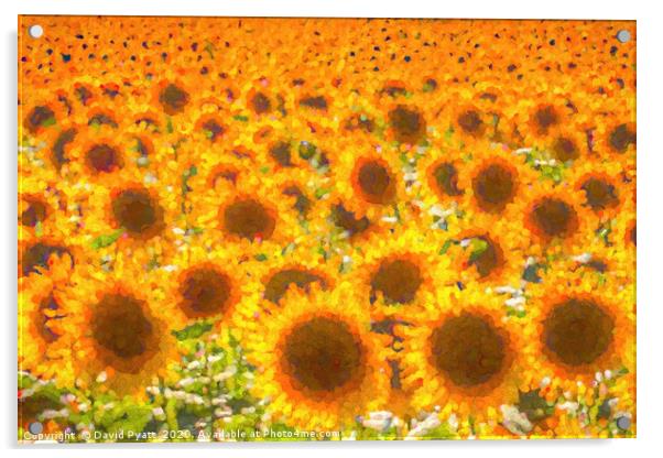 Sunflower Abstract Dreams  Acrylic by David Pyatt