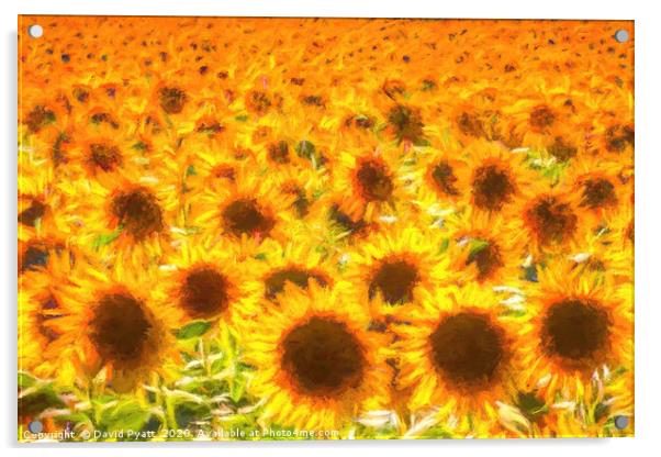Sunflowers Turner Sunset Acrylic by David Pyatt