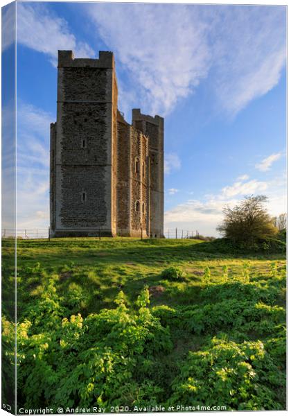 Towards Orford Castle Canvas Print by Andrew Ray