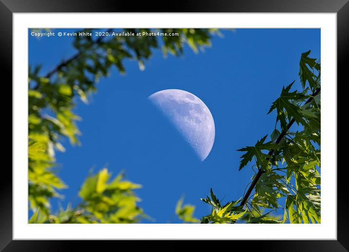 daylight half moon Framed Mounted Print by Kevin White