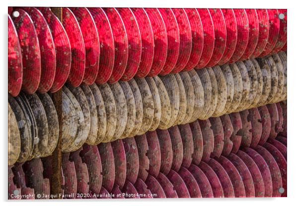 Oyster Farming Acrylic by Jacqui Farrell