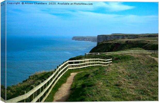 Bempton Cliffs Footpath Canvas Print by Alison Chambers
