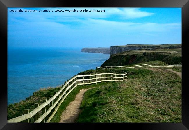 Bempton Cliffs Footpath Framed Print by Alison Chambers