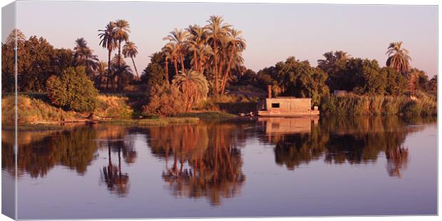 Reflections in the Nile Canvas Print by CJ Barnard