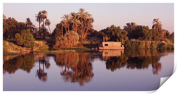 Reflections in the Nile Print by CJ Barnard