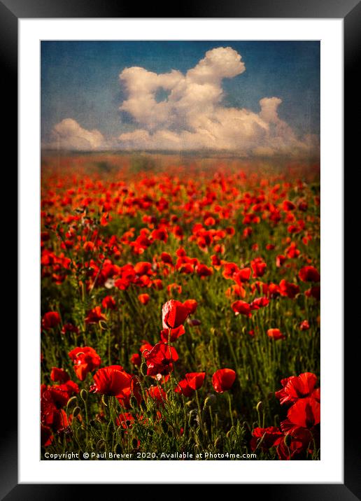 Poppies at Sunset Framed Mounted Print by Paul Brewer