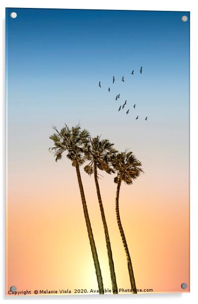 Palm trees & sunset Acrylic by Melanie Viola