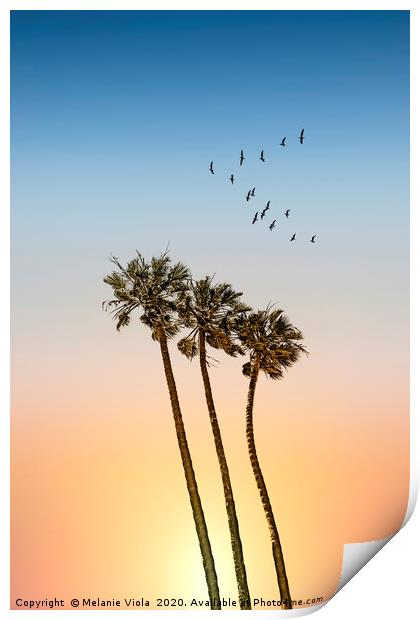 Palm trees & sunset Print by Melanie Viola