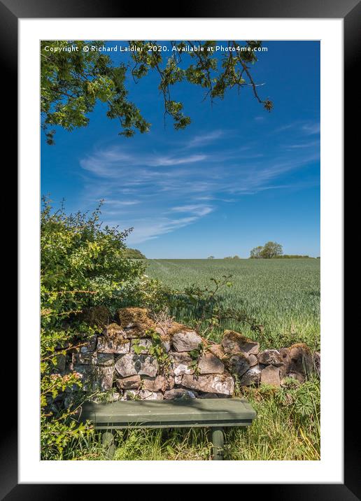 A rest in the shade Framed Mounted Print by Richard Laidler