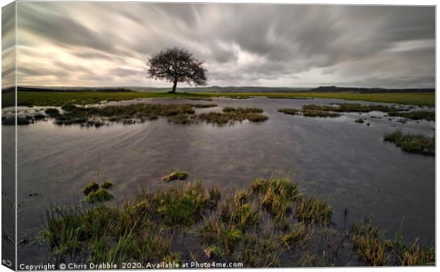 After heavy rain on Middleton Moor Canvas Print by Chris Drabble