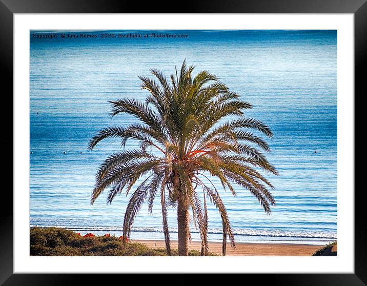 Palm Tree Framed Mounted Print by Juha Remes