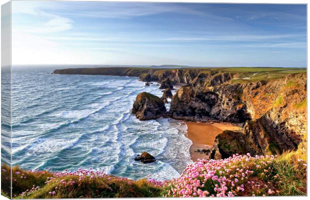 Carnewas at Bedruthan Steps pinks Canvas Print by austin APPLEBY